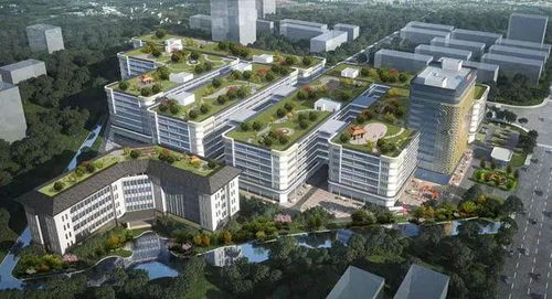 江門迎來企業(yè)投資熱潮，實(shí)業(yè)興城正當(dāng)時(shí)
